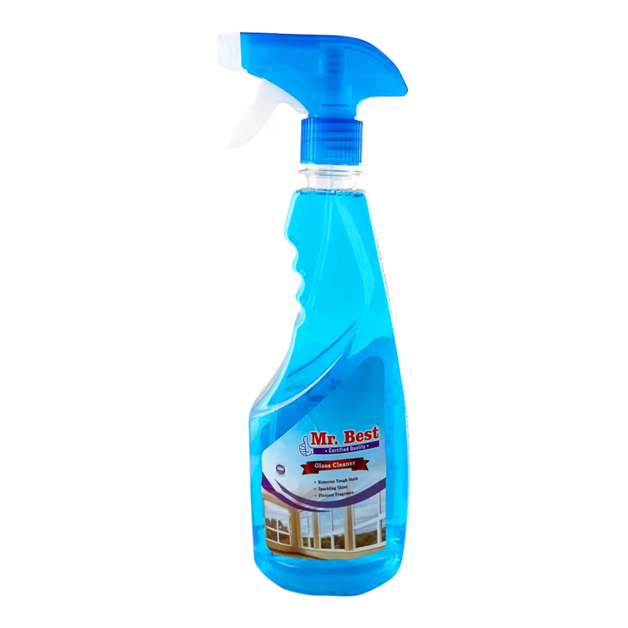 Mr. Best Glass Cleaning spray 500 ml
